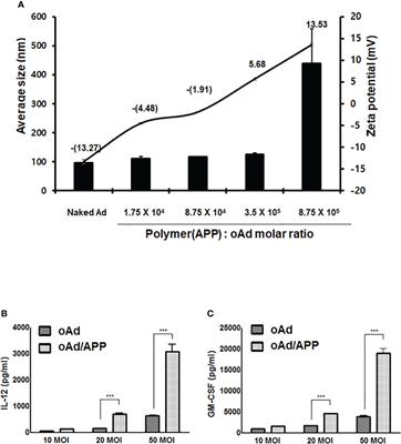 Synergistic antitumor immune response mediated by paclitaxel-conjugated nanohybrid oncolytic adenovirus with dendritic cell therapy